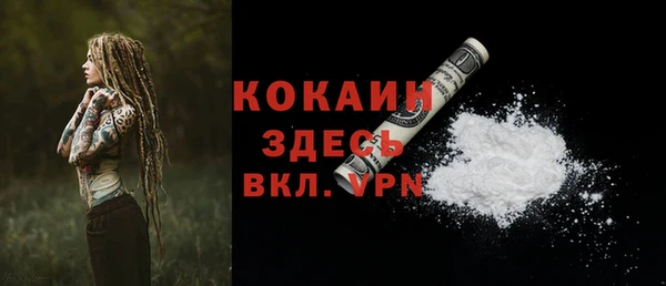 соль ск Балахна