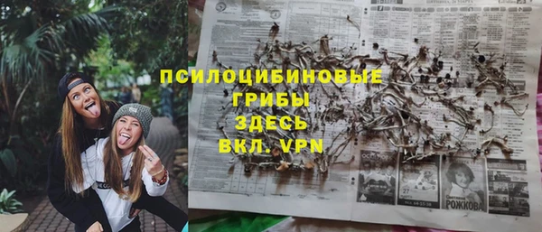 сатива Балабаново