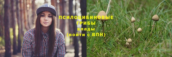 сатива Балабаново