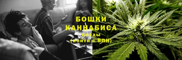 сатива Балабаново
