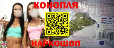 крисы Бузулук