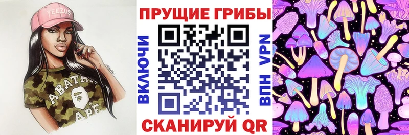 Галлюциногенные грибы прущие грибы  Гудермес 