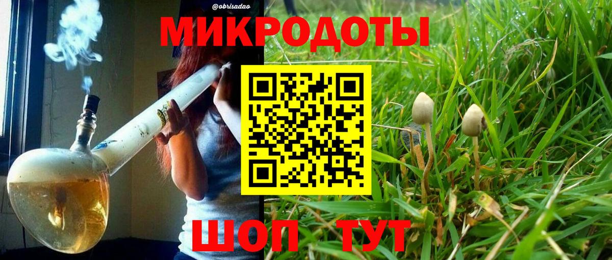 Гудермес  Псилоцибиновые грибы MAGIC MUSHROOMS  Вход с VPN  Галлюциногенные грибы Magic Shrooms 